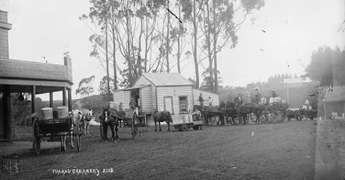 development-of-the-nz-dairy-industry